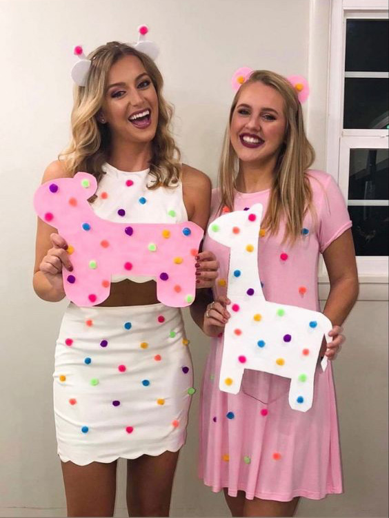 DIY animal cookie costume