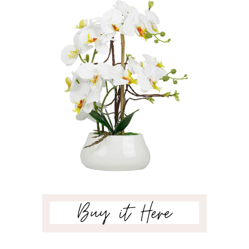 orchid home decor